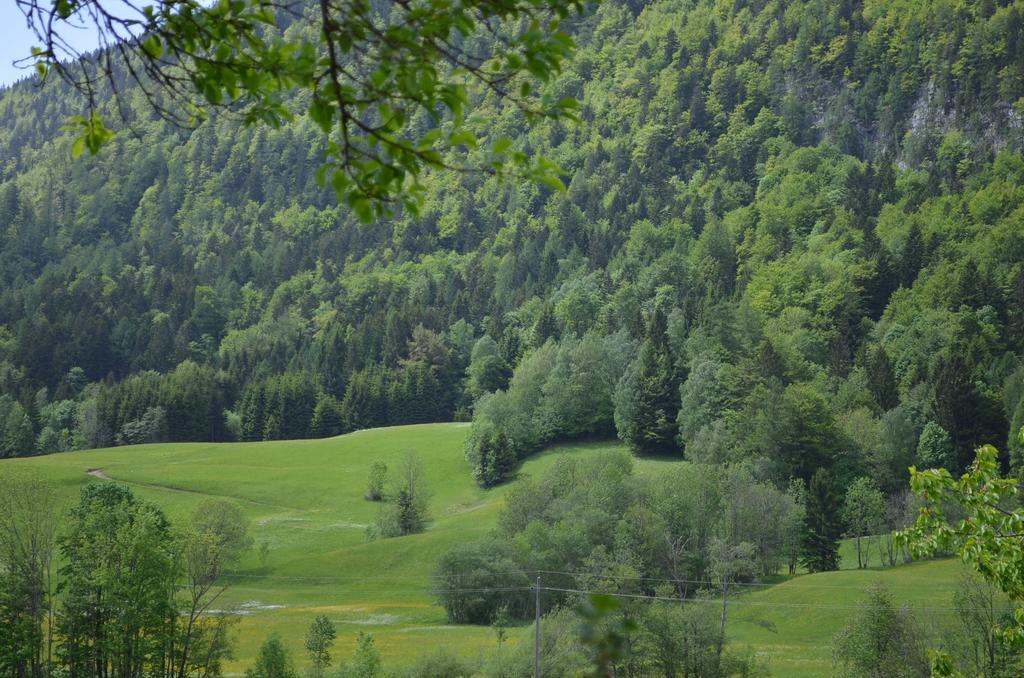 Bauernhof Konig Villa Anger  Dış mekan fotoğraf