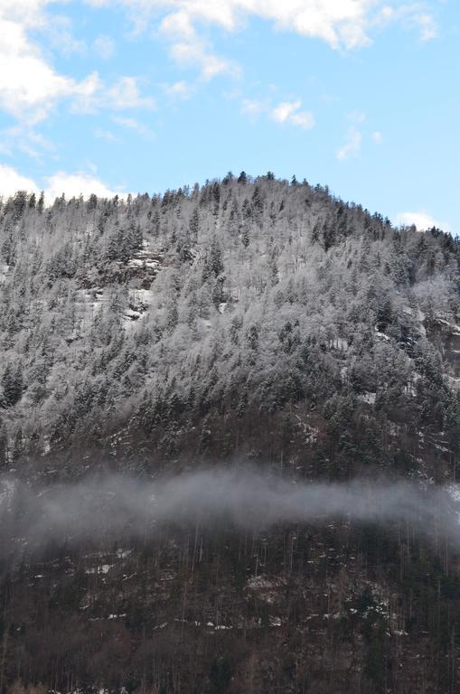 Bauernhof Konig Villa Anger  Dış mekan fotoğraf