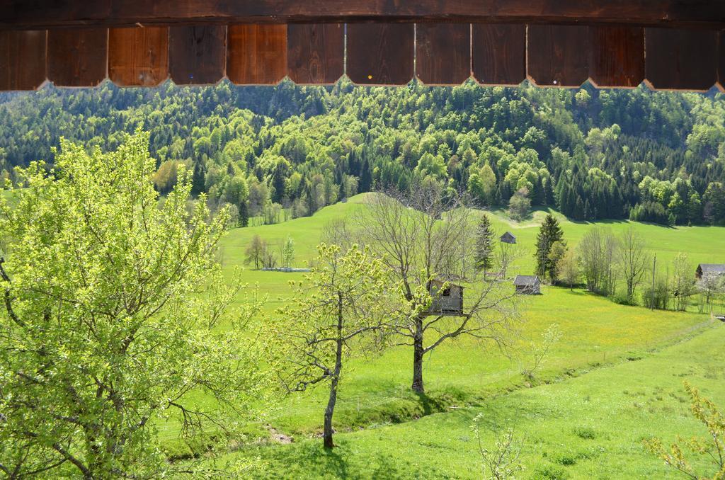 Bauernhof Konig Villa Anger  Dış mekan fotoğraf