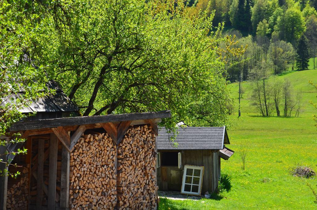 Bauernhof Konig Villa Anger  Dış mekan fotoğraf